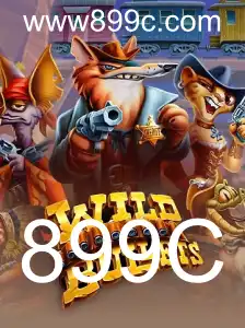 Mergulhando no Mundo de WildBullets: Como Jogar e Regras Essenciais